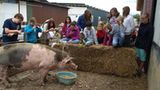 Tierschutz: Kinder für Schweine - Bild 6