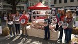 Tierschutz: Kinder für Schweine - Bild 9
