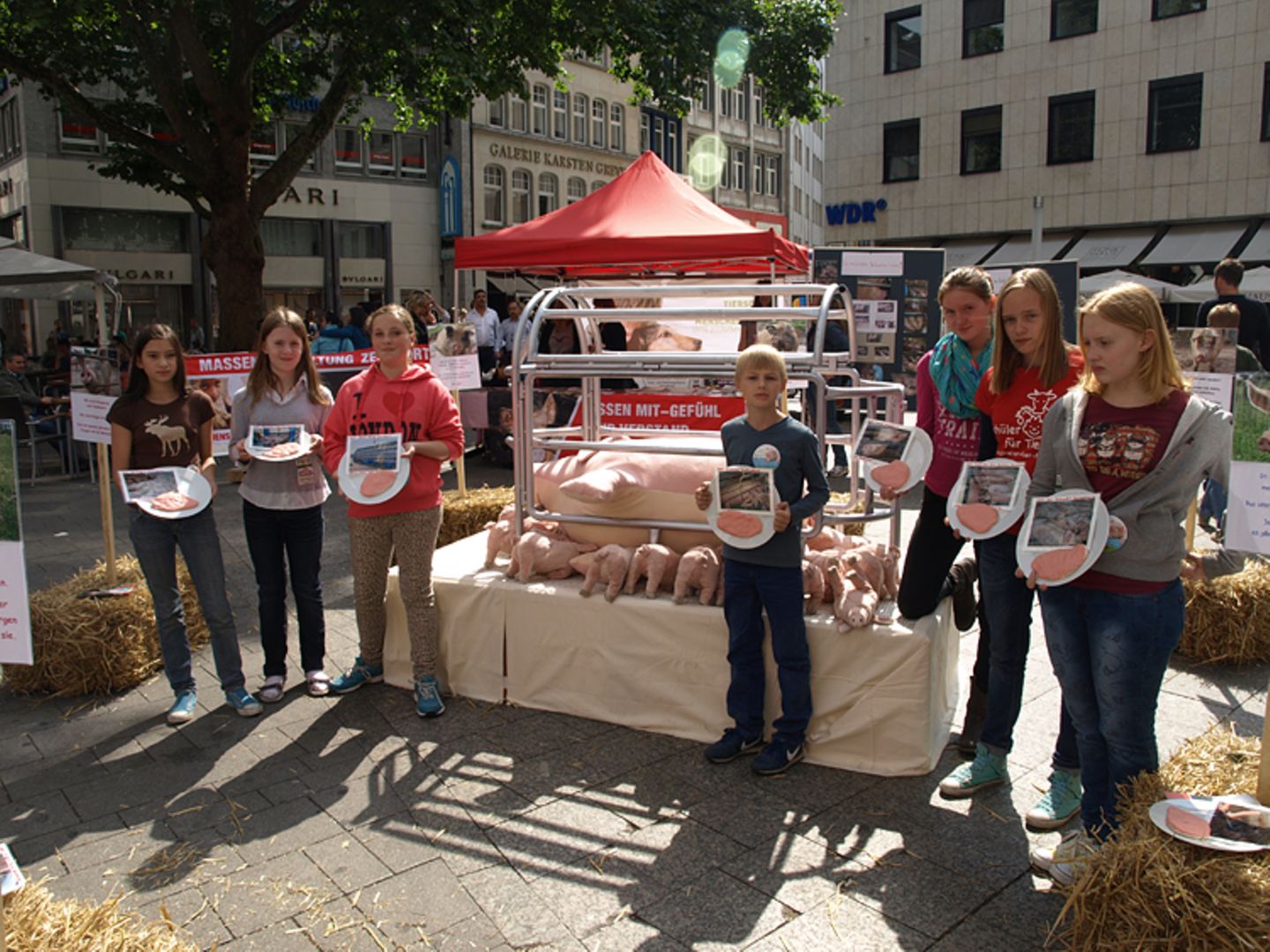 Tierschutz: Kinder für Schweine - Bild 9