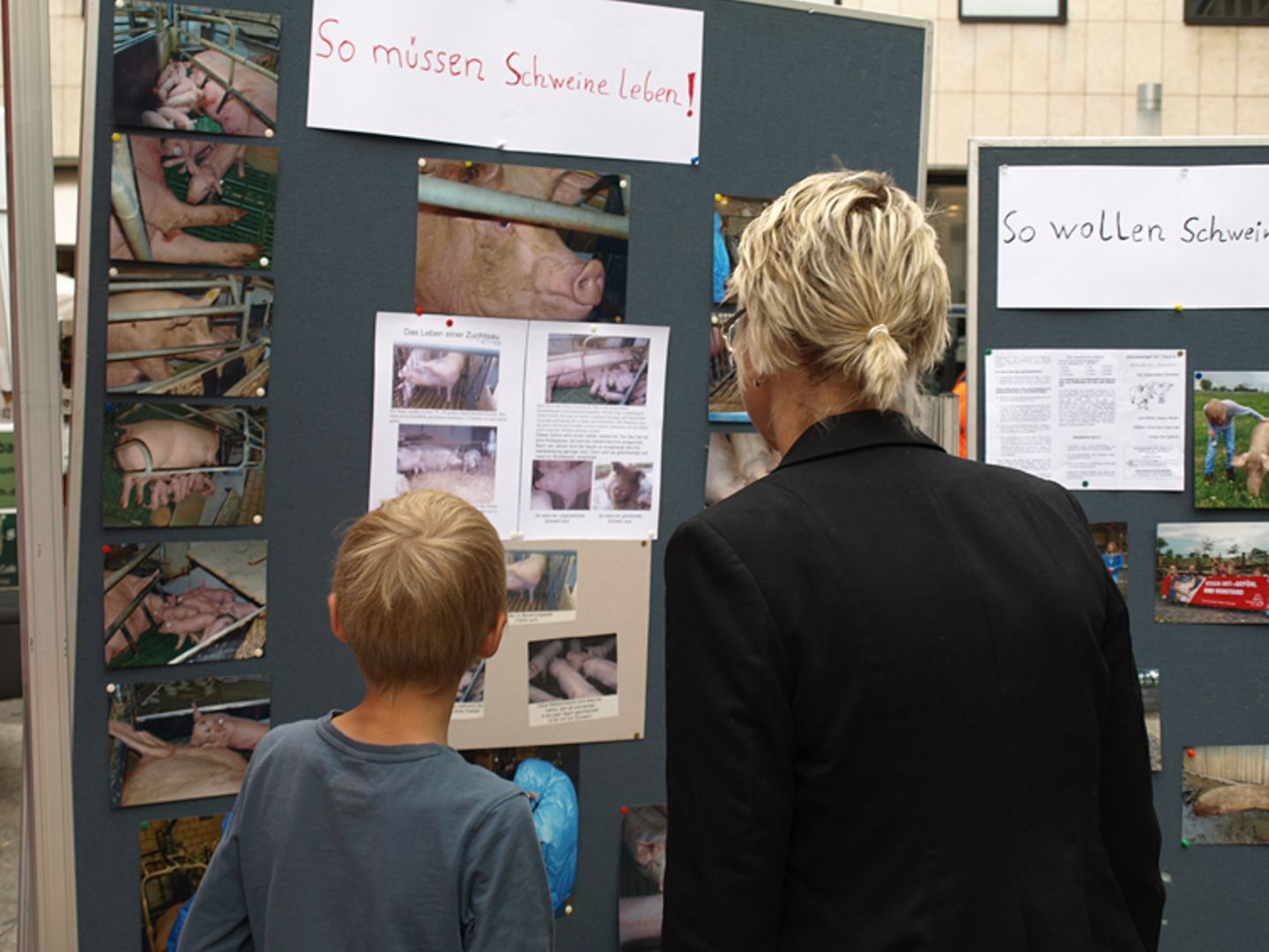 Tierschutz: Kinder für Schweine - Bild 11