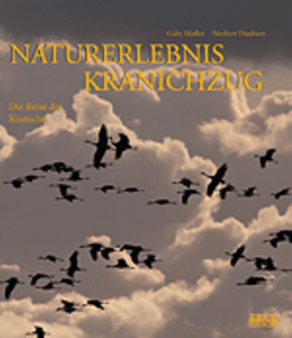 Fotogalerie: Gaby Hufler, Norbert Daubner Naturerlebnis Kranichzug Die Reise der Kraniche dah[u]u Verlag 2014 144 S., 184 Fotos, 29,80 Euro