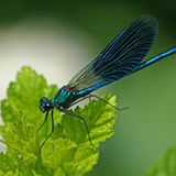 GEO Leserfoto: Die besten Leserfotos: Oktober 2014 - Bild 2