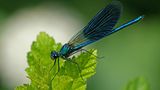 GEO Leserfoto: Die besten Leserfotos: Oktober 2014 - Bild 2
