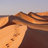 GEO Leserfoto: Die besten Leserfotos: Oktober 2014 - Bild 5