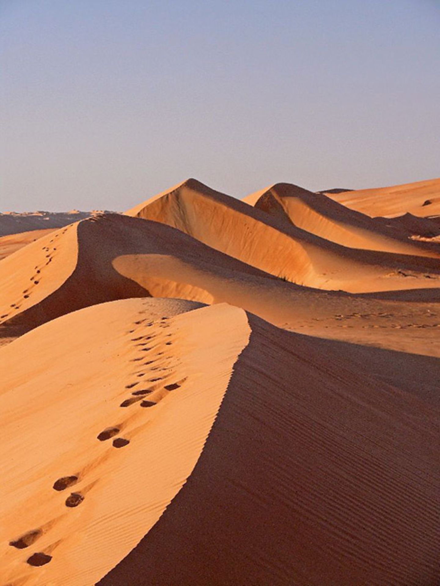 GEO Leserfoto: Die besten Leserfotos: Oktober 2014 - Bild 5