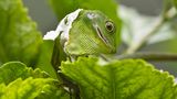 GEO Leserfoto: Die besten Leserfotos: Oktober 2014 - Bild 10