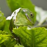 GEO Leserfoto: Die besten Leserfotos: Oktober 2014 - Bild 10