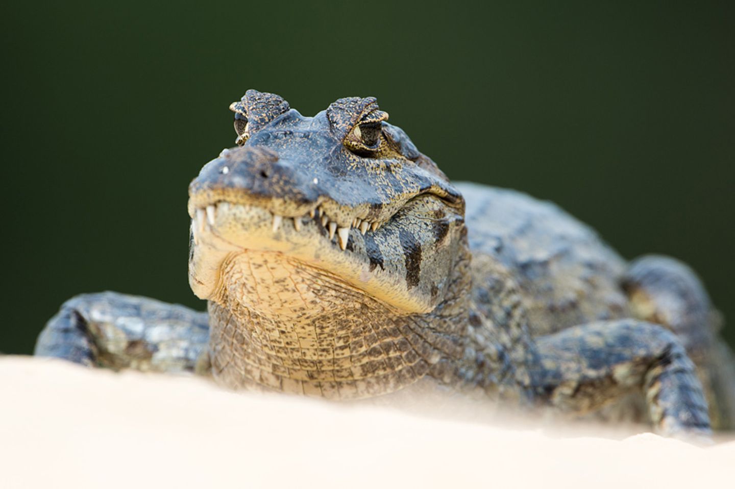 GEO Leserfoto: Die besten Leserfotos: Oktober 2014 - Bild 12
