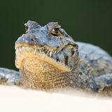 GEO Leserfoto: Die besten Leserfotos: Oktober 2014 - Bild 12