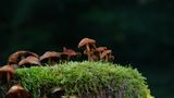 GEO Leserfoto: Die besten Leserfotos: Oktober 2014 - Bild 13