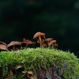 GEO Leserfoto: Die besten Leserfotos: Oktober 2014 - Bild 13