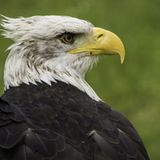 GEO Leserfoto: Die besten Leserfotos: Oktober 2014 - Bild 14