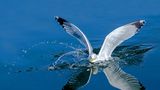 GEO Leserfoto: Die besten Leserfotos: Oktober 2014 - Bild 16