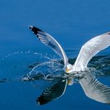 GEO Leserfoto: Die besten Leserfotos: Oktober 2014 - Bild 16