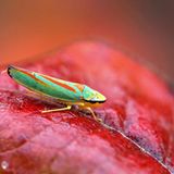 GEO Leserfoto: Die besten Leserfotos: Oktober 2014 - Bild 17