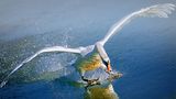 GEO Leserfoto: Die besten Leserfotos: Oktober 2014 - Bild 18