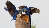 GEO Leserfoto: Die besten Leserfotos: Oktober 2014 - Bild 20