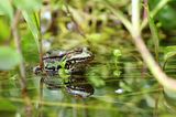 GEO Leserfoto: Die besten Leserfotos: Oktober 2014 - Bild 21