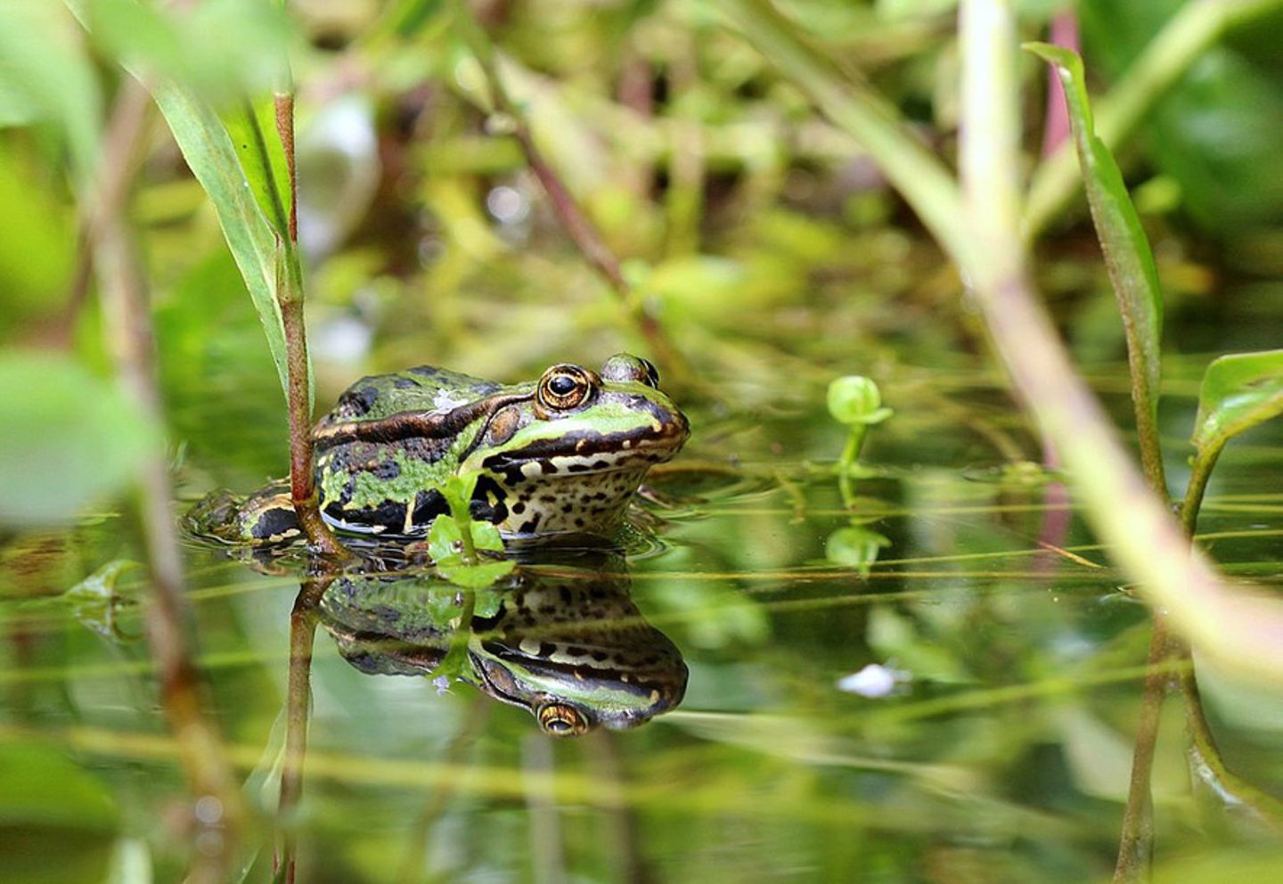 GEO Leserfoto: Die besten Leserfotos: Oktober 2014 - Bild 21