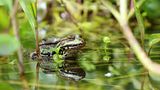 GEO Leserfoto: Die besten Leserfotos: Oktober 2014 - Bild 21