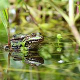 GEO Leserfoto: Die besten Leserfotos: Oktober 2014 - Bild 21