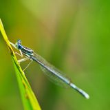 GEO Leserfoto: Die besten Leserfotos: Oktober 2014 - Bild 22