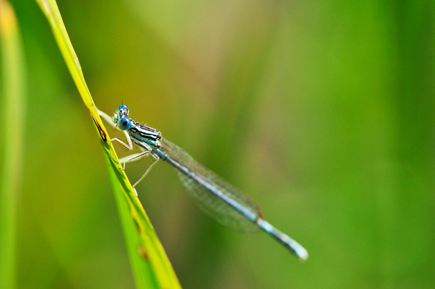 GEO Leserfoto: Die besten Leserfotos: Oktober 2014 - Bild 22