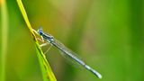 GEO Leserfoto: Die besten Leserfotos: Oktober 2014 - Bild 22