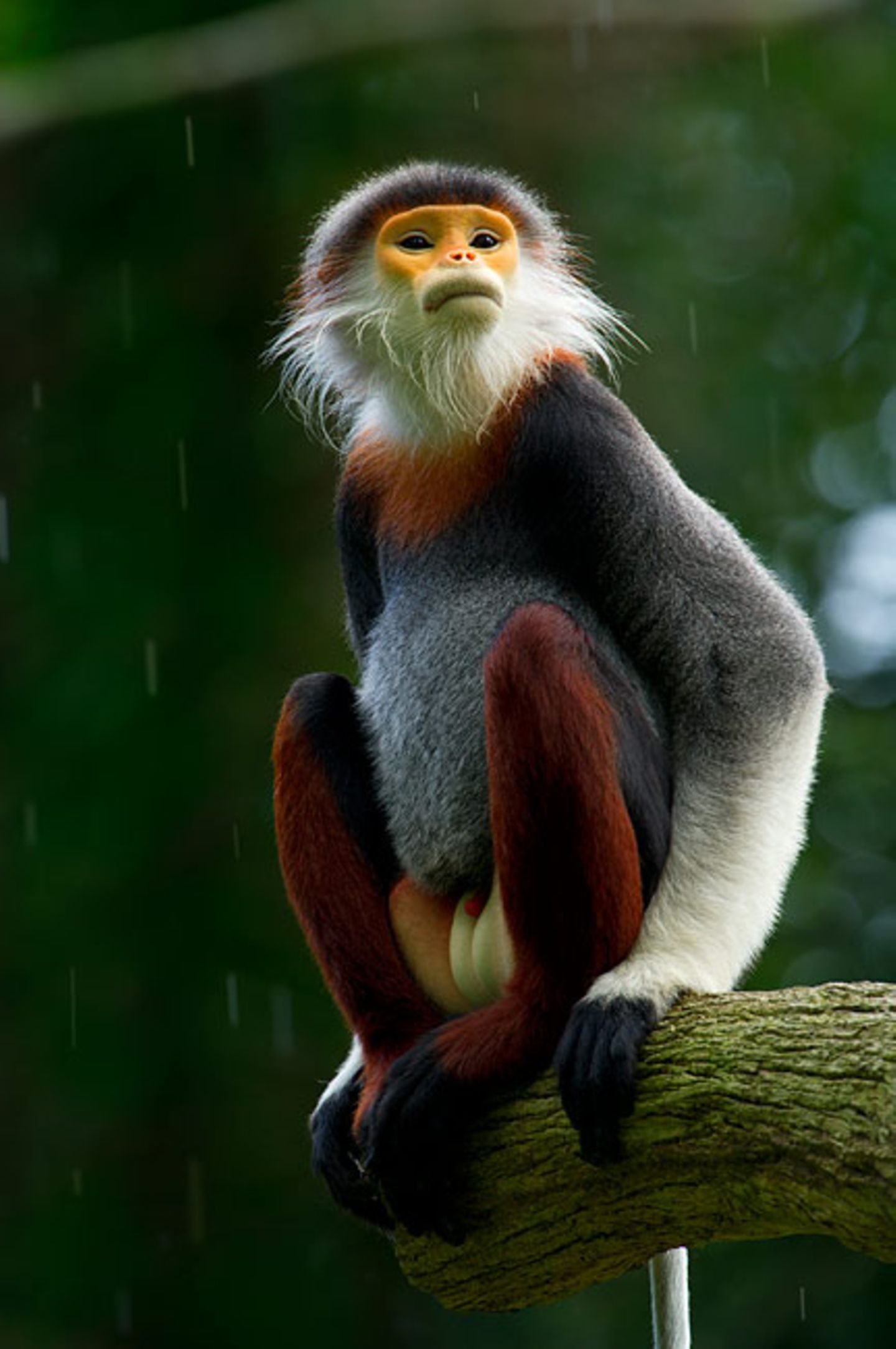 Laos, Nordvietnam, Nordostkambodscha