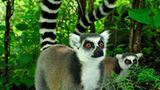 Süd-Madagaskar