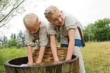 Wikinger: Zeitsprung - zu Besuch im Wikingerdorf - Bild 3