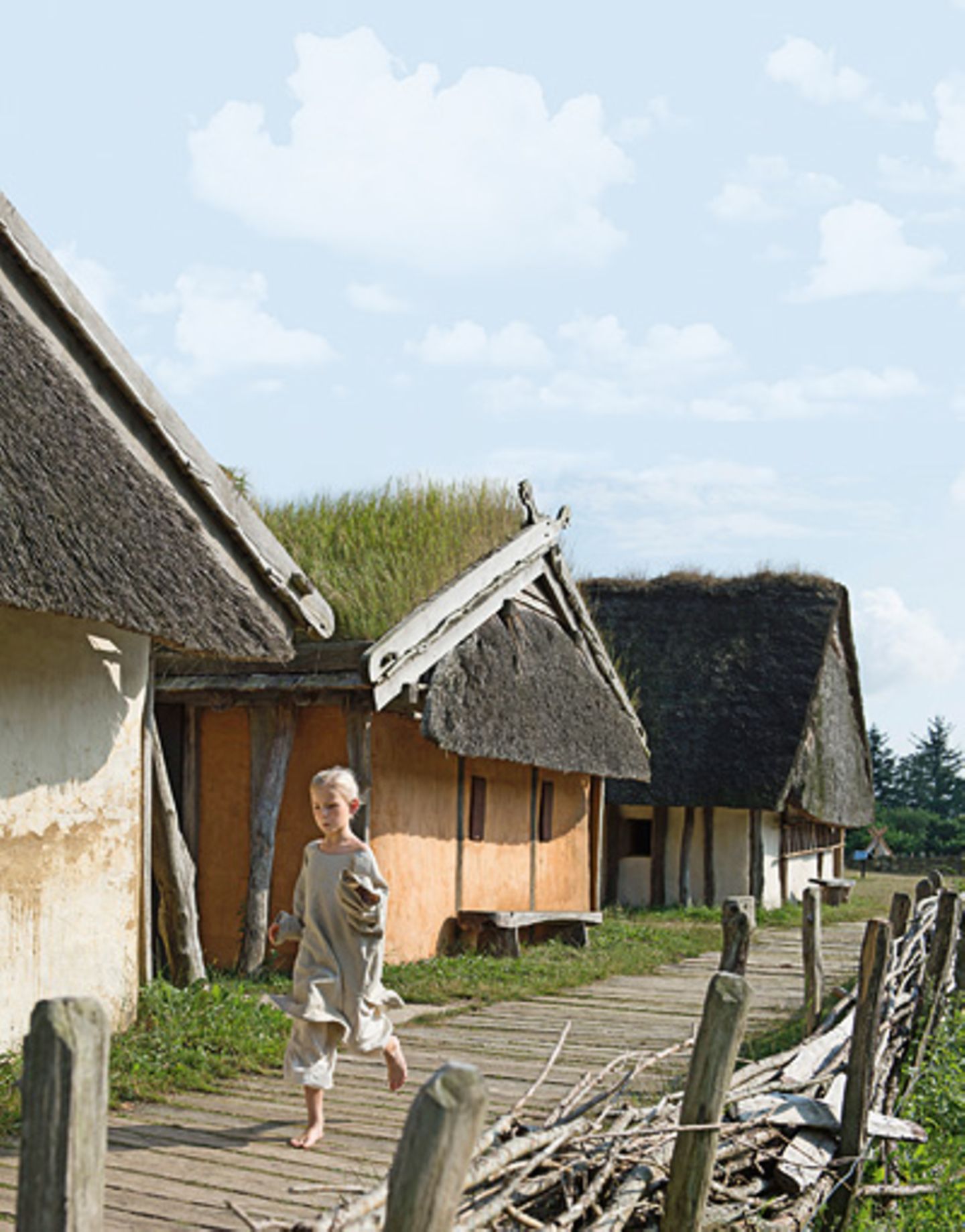 Wikinger: Zeitsprung - zu Besuch im Wikingerdorf - Bild 8