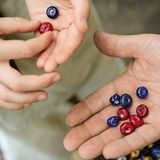 Wikinger: Zeitsprung - zu Besuch im Wikingerdorf - Bild 9