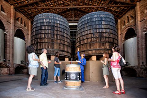 Katalonien: Auf den Spuren des Weins