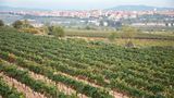 Vilafranca de Penedès