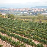 Vilafranca de Penedès