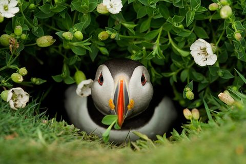 Naturfotofestival Lünen: Highlights der Naturfotografie