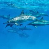 GEO Leserfoto: Die besten Leserfotos: November 2014 - Bild 3