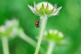 GEO Leserfoto: Die besten Leserfotos: November 2014 - Bild 4