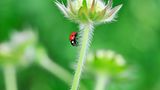 GEO Leserfoto: Die besten Leserfotos: November 2014 - Bild 4