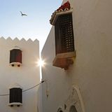 GEO Leserfoto: Die besten Leserfotos: November 2014 - Bild 6