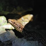 GEO Leserfoto: Die besten Leserfotos: November 2014 - Bild 9