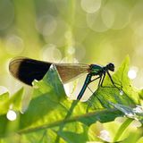 GEO Leserfoto: Die besten Leserfotos: November 2014 - Bild 10