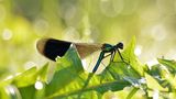 GEO Leserfoto: Die besten Leserfotos: November 2014 - Bild 10