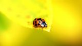 GEO Leserfoto: Die besten Leserfotos: November 2014 - Bild 12