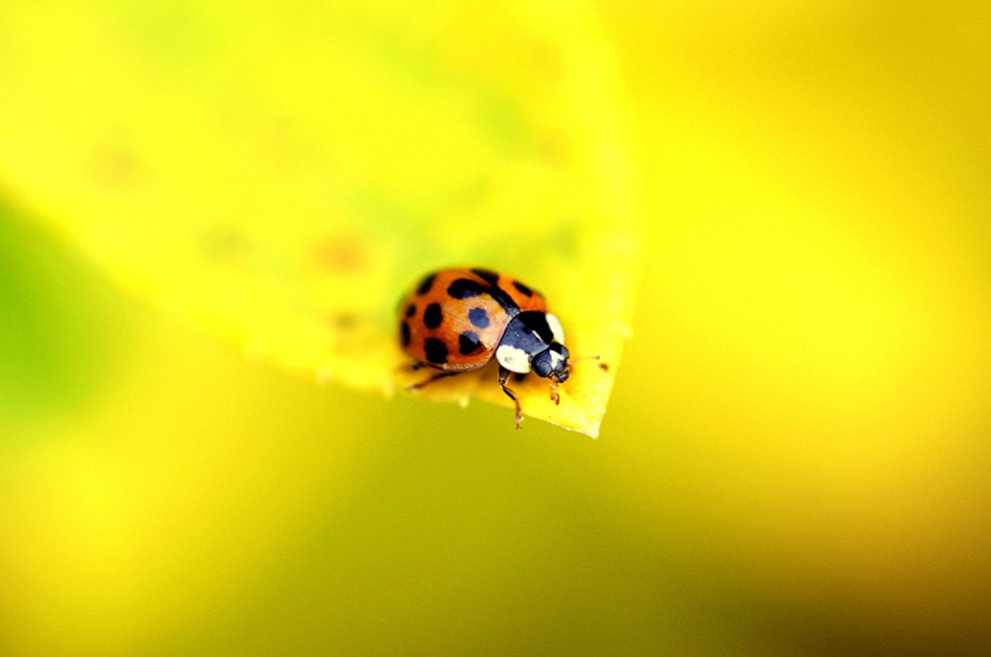 GEO Leserfoto: Die besten Leserfotos: November 2014 - Bild 12