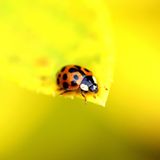 GEO Leserfoto: Die besten Leserfotos: November 2014 - Bild 12