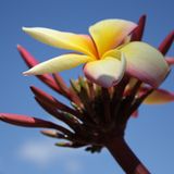 GEO Leserfoto: Die besten Leserfotos: November 2014 - Bild 14