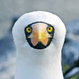 GEO Leserfoto: Die besten Leserfotos: November 2014 - Bild 17