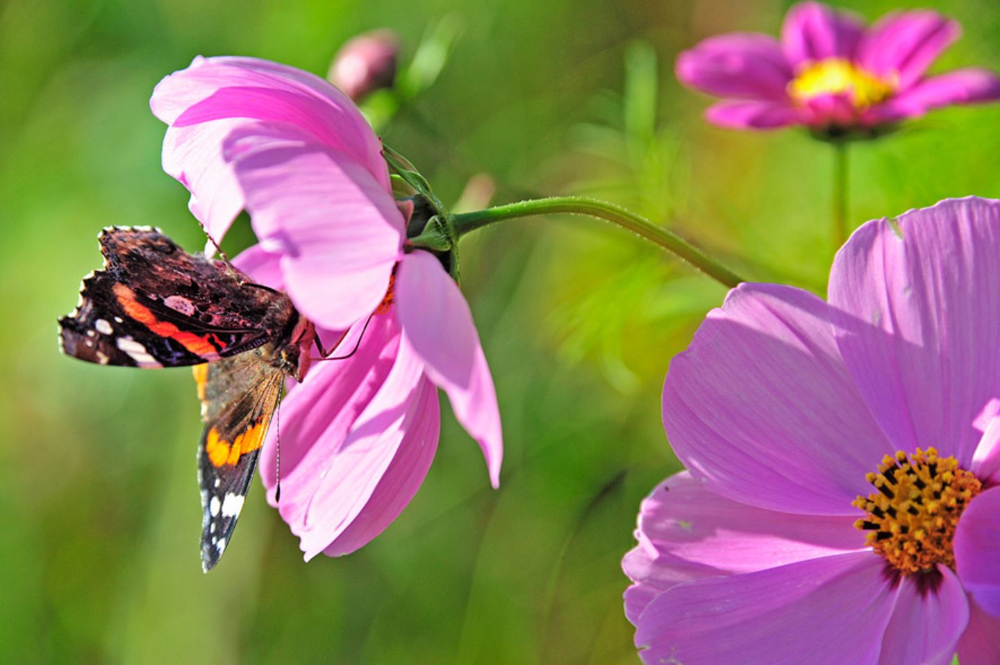 GEO Leserfoto: Die besten Leserfotos: November 2014 - Bild 18